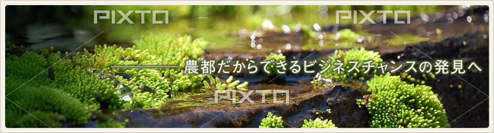 農都だからできるビジネスチャンスの発見へ