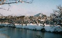 篠山城跡から望む高城山